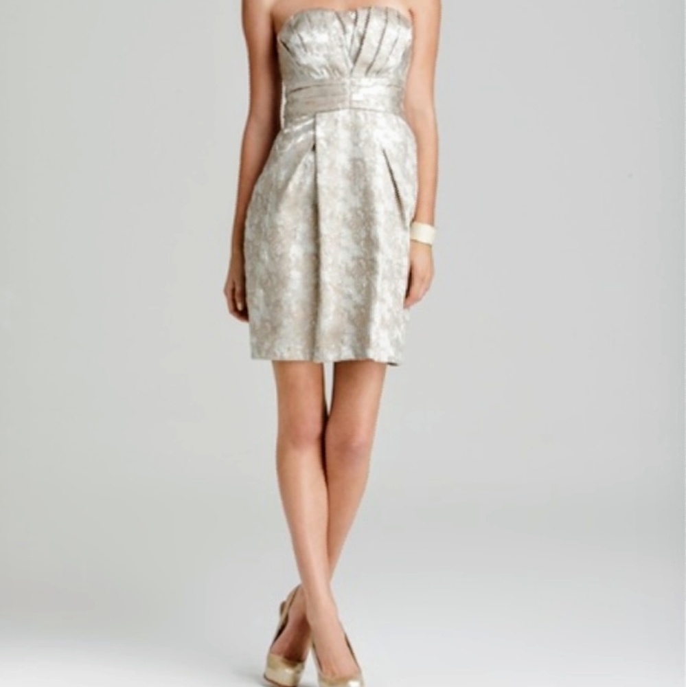 Metallic cocktail/party dress